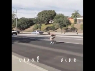 superhero - viral vine