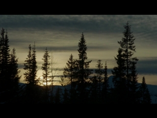 black lake (svartsj n) s01e02