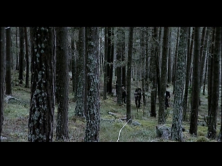 dark forest (villmark) 2003